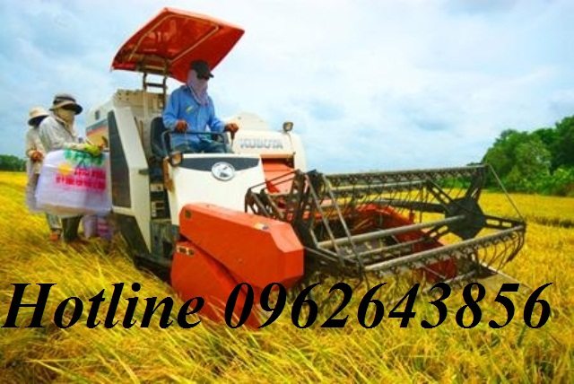 Máy gặt đập liên hợp Kubota DC 35