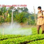 máy phun thuốc oshima uy tín giá tốt nhất thị trường