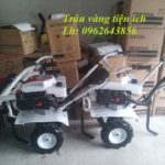 Máy xới đất trâu vàng đa năng chất lượng cao giá tốt phục vụ bà con