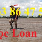 Giới thiệu máy phun thuốc 3 công dụng: phun dung dịch, sạ hạt,phun vôi bột
