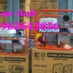 Địa chỉ phân phối hàng đầu các loại máy bơm nước Honda, Koshin giá rẻ