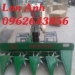 Địa chỉ phân phối hàng đầu máy gặt lúa xếp dãy giá rẻ phục vụ bà con