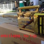 Sử dụng máy phun khói diệt sâu bọ liệu có hiêu quả?