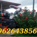 Khuyến mãi khủng dành cho Quý khách hàng mua máy gặt đập liên hợp Kubota