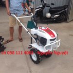 Máy cày xới mini trâu vàng xới đất ruộng trồng lúa, năng suất 500 – 1000m2/giờ