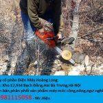 Máy cưa xích husqvarna 365 nhập khẩu tại Thụy Điển