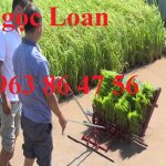 Máy cấy lúa không động cơ tại Thái Bình