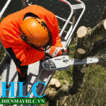 Cách chọn và bảo dưỡng máy cưa xích chạy xăng Stihl