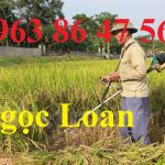 máy gặt lúa giá rẻ, 0963864756