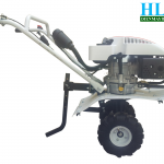 Máy xới Trâu Vàng-Người bạn đồng hành của nhà nông