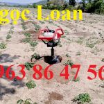 địa chỉ bán máy khoan đất trồng cây Oshima 2P giá rẻ