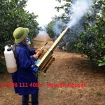 Máy phun khói diệt côn trùng HLC 250 giá rẻ bất ngờ