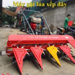 Máy gặt lúa xếp dãy