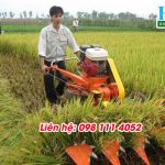 Giá máy gặt lúa xếp dãy An Giang tốt nhất, năng suất gặt 0,3ha/giờ
