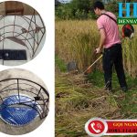 Máy cắt cỏ Tomikama 2 thì đa năng – giá bán hot nhất năm 2020