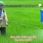 Bình phun thuốc chạy điện 20 lít chuyên dụng trừ sâu, côn trùng