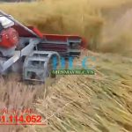 Máy gặt lúa xếp dãy cắt lúa An Giang rải hàng chạy xăng rẻ nhất